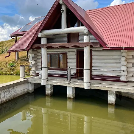 Lodge апецька *